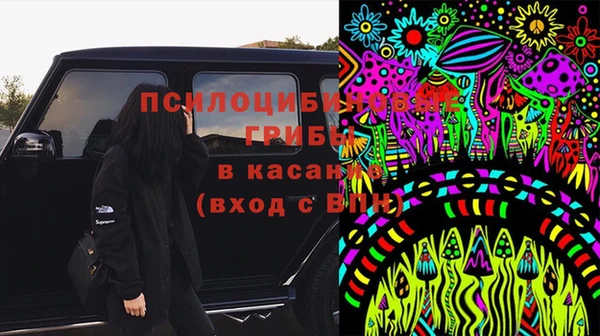 2c-b Богданович
