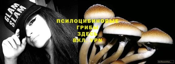 амфетамин Богородицк