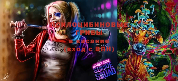 2c-b Богородск