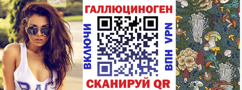 Псилоцибиновые грибы Psilocybe Мытищи